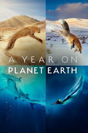 A Year on Planet Earth T 1 C 1 online gratis