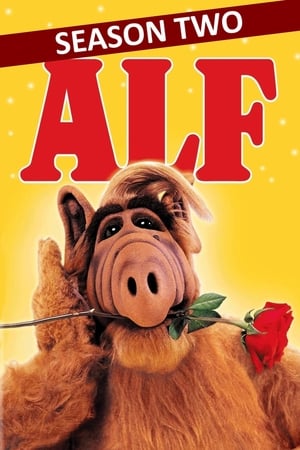 ALF T 2 C 4 online gratis