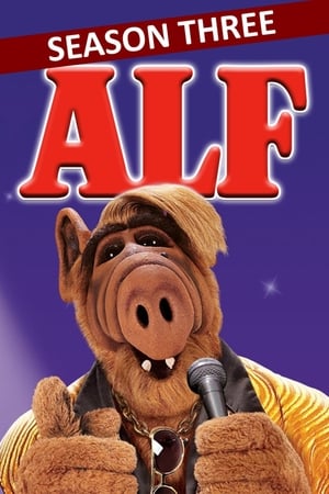 ALF T 3 C 8 online gratis