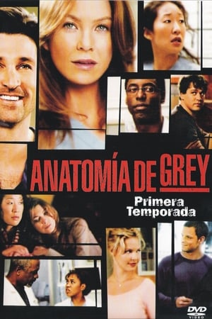 Anatomía de Grey Temporada 1 online gratis