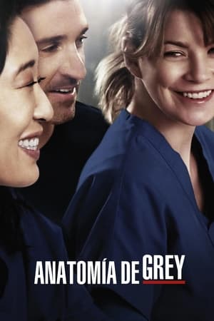 Anatomía de Grey T 10 C 13 online gratis