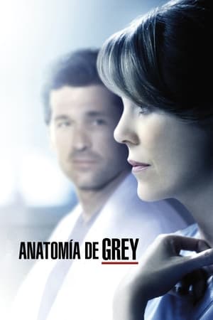 Anatomía de Grey T 11 C 2 online gratis