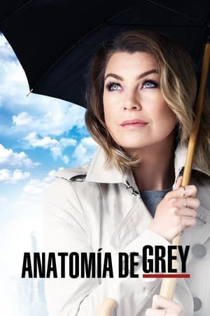 Anatomía de Grey T 12 C 10 online gratis