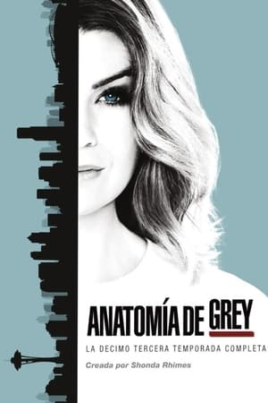 Anatomía de Grey T 13 C 7 online gratis