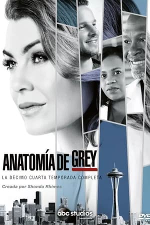 Anatomía de Grey T 14 C 5 online gratis