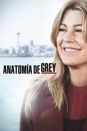 Anatomía de Grey Temporada 15 online gratis