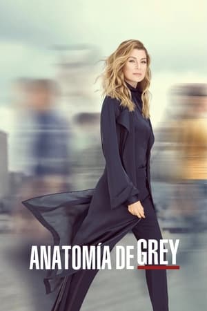 Anatomía de Grey T 16 C 12 online gratis