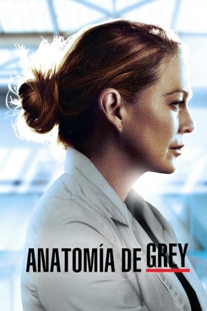 Anatomía de Grey T 17 C 8 online gratis