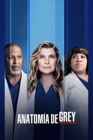 Anatomía de Grey Temporada 18 online gratis