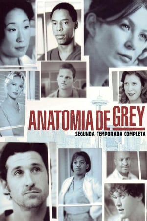 Anatomía de Grey T 2 C 15 online gratis