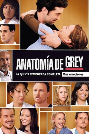 Anatomía de Grey T 5 C 9 online gratis