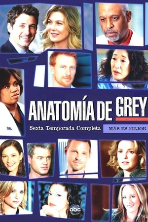 Anatomía de Grey T 6 C 22 online gratis