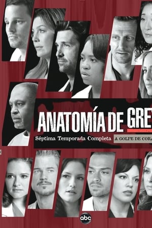 Anatomía de Grey Temporada 7 online gratis