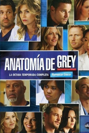 Anatomía de Grey Temporada 8 online gratis