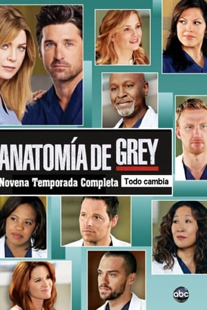 Anatomía de Grey T 9 C 19 online gratis