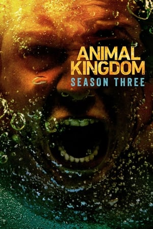 Animal Kingdom T 3 C 7 online gratis