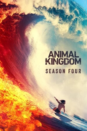 Animal Kingdom T 4 C 5 online gratis