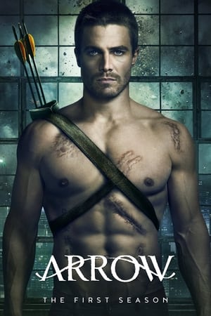 Arrow T 1 C 14 online gratis