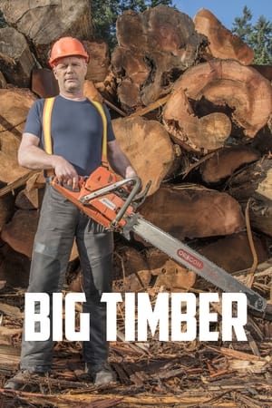 Big Timber T 1 C 9 online gratis