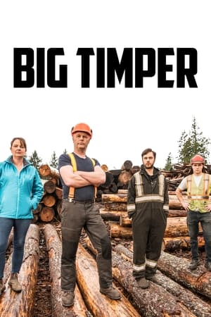 Big Timber Temporada 2 online gratis