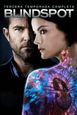 Blindspot T 3 C 8 online gratis