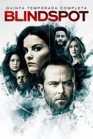 Blindspot Temporada 5 online gratis