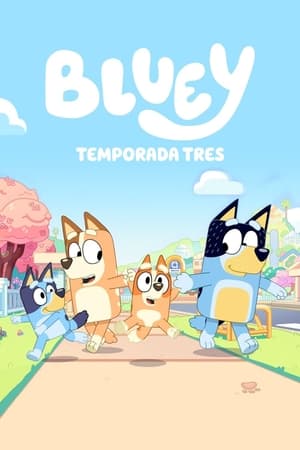 Bluey T 3 C 9 online gratis