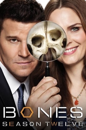 Bones T 12 C 12 online gratis