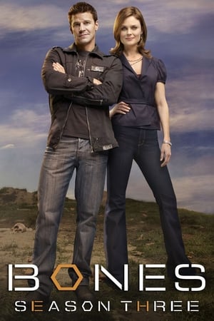 Bones T 3 C 4 online gratis