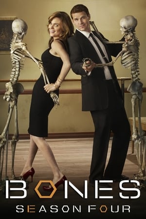 Bones T 4 C 24 online gratis