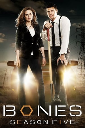 Bones T 5 C 9 online gratis