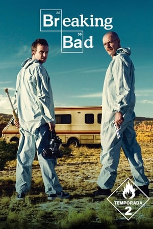 Breaking Bad T 2 C 11 online gratis