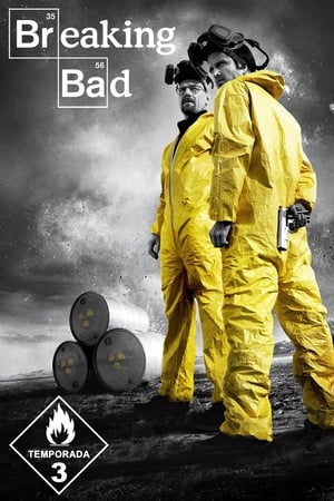 Breaking Bad T 3 C 2 online gratis