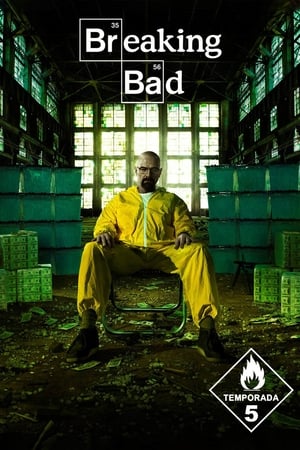 Breaking Bad T 5 C 8 online gratis