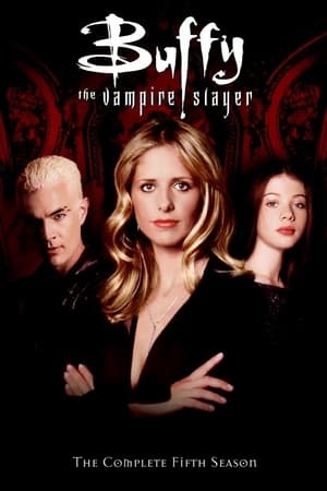 Buffy, cazavampiros Temporada 5 online gratis