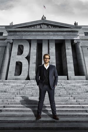 Bull T 2 C 4 online gratis