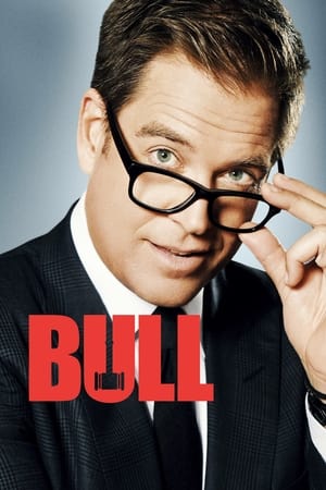 Bull T 3 C 4 online gratis