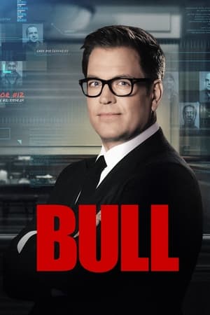 Bull temporada  6 online