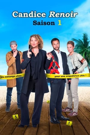 Candice Renoir Temporada 1 online gratis