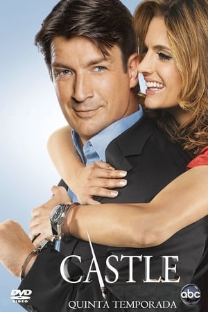 Castle Temporada 5 online gratis