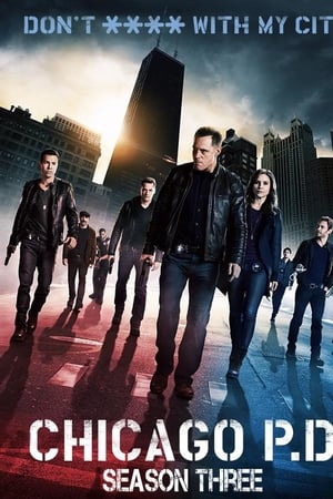 Chicago P.D. T 3 C 21 online gratis