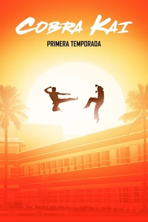 Cobra Kai T 1 C 1 online gratis