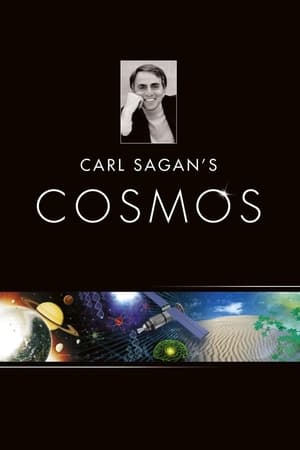 Cosmos: Un viaje personal temporada  1 online