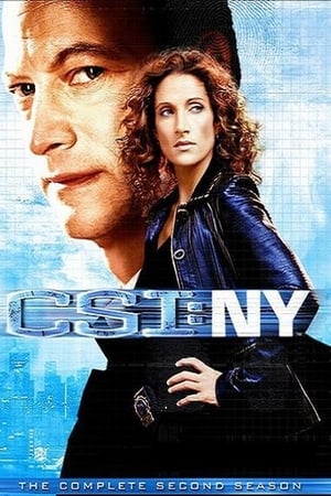 CSI: Nueva York temporada  2 online