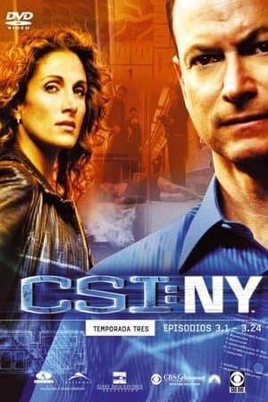 CSI: Nueva York T 3 C 20 online gratis