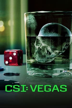 CSI: Vegas Temporada 3 online gratis