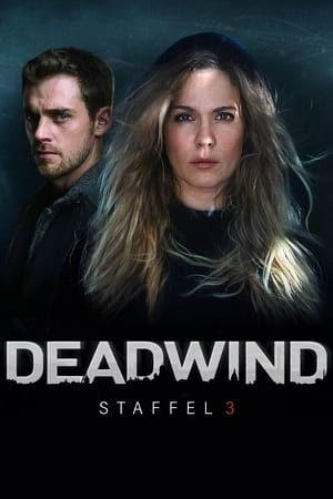 Deadwind Temporada 3 online gratis