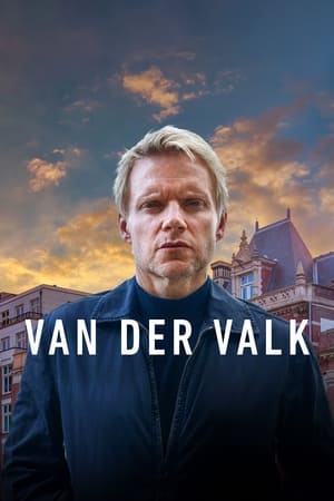 Detective Van der Valk temporada  3 online