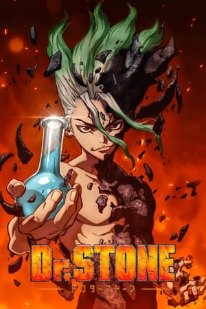 Dr. Stone Online