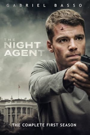 El agente nocturno Temporada 1 online gratis